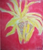 Artwork: Indian Corn (Pastel)
